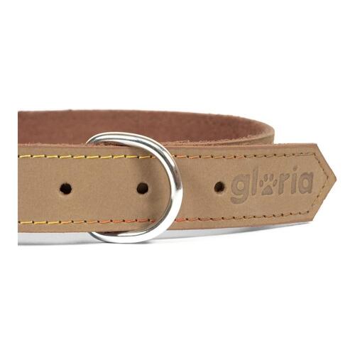 Hundehalsbånd Gloria Oasis Beige (1,2 x 35 cm)