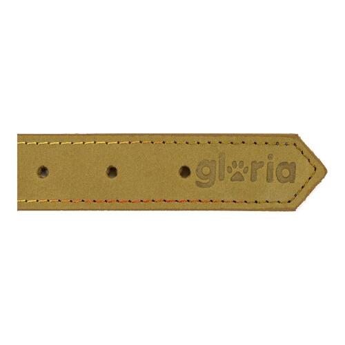 Hundehalsbånd Gloria Oasis Grøn (35 x 1,2 cm)