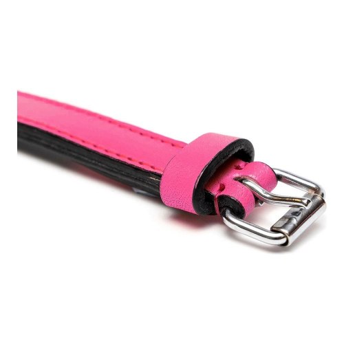 Gloria hundehalsbånd med puder - fuchsia, 50 à 2,5 cm