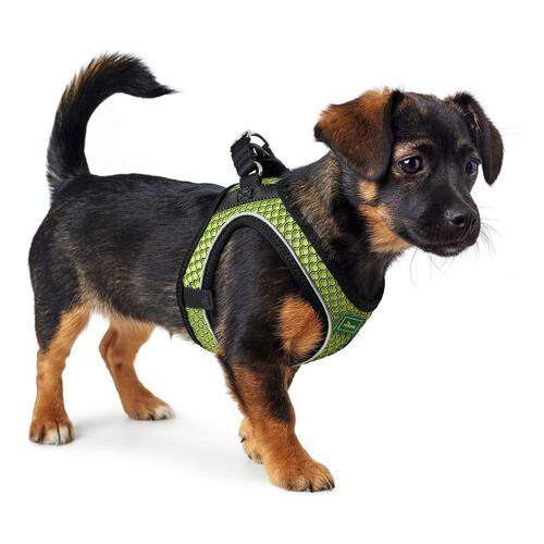 Hundesele Hunter Hilo-Comfort Lime (30-35 cm)