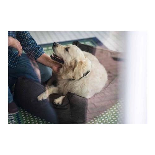 Hund Sofa Hunter Boston Brun (60 x 50 cm)