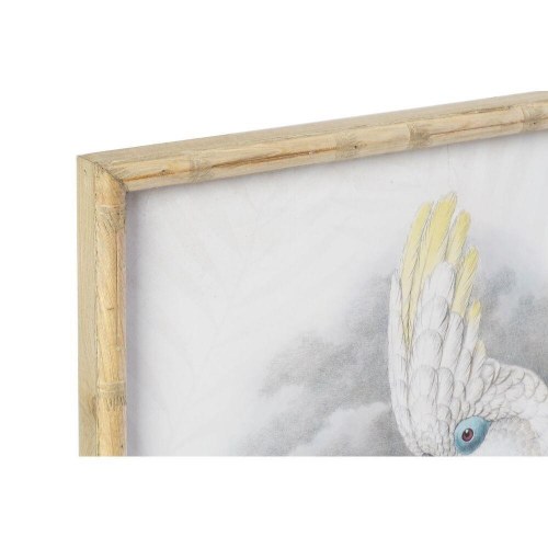 Maleri - Bambus ramme, papegøjearter, 50 × 2,8 × 70 cm (sæt af 2)