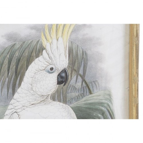 Maleri - Bambus ramme, papegøjearter, 50 × 2,8 × 70 cm (sæt af 2)