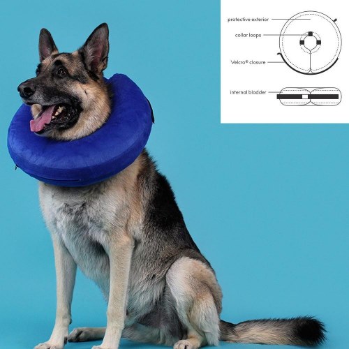 KVP Kong Cloud oppustelig recovery-krave til hunde, blå (33-46 cm)