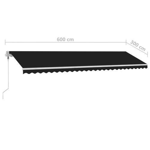 Markise m. LED + vindsensor 600x300 cm automatisk antracit