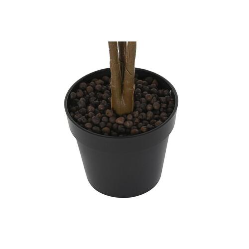 Dekorativ plante Brun Polyetylen Grøn 50 x 50 x 140 cm