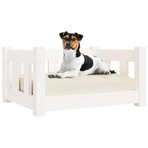 Hundeseng 55,5x45,5x28 cm massivt fyrretræ hvid