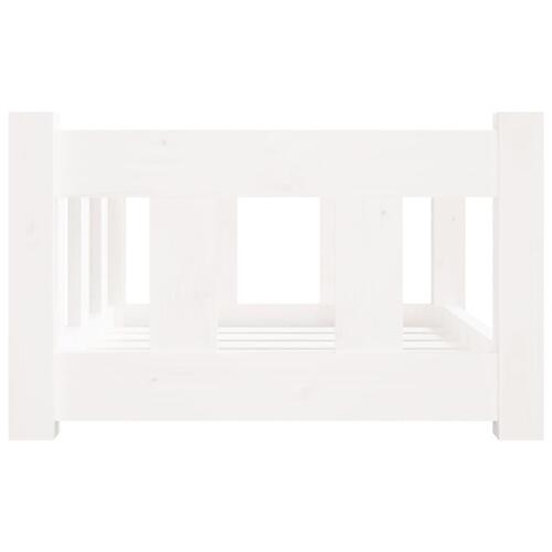 Hundeseng 55,5x45,5x28 cm massivt fyrretræ hvid