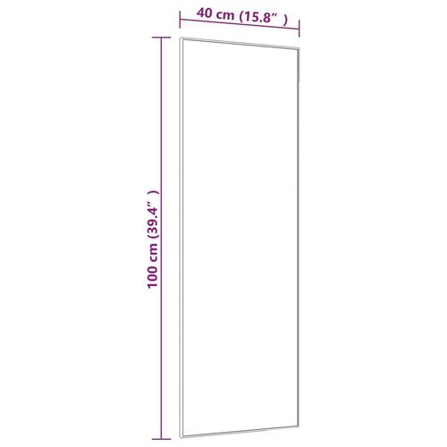 Dørspejl 40x100 cm glas og aluminium sort