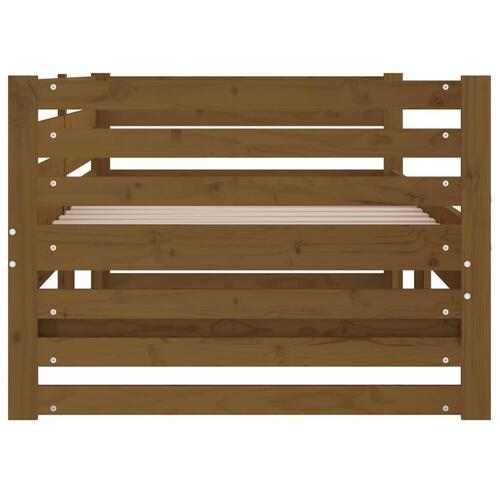 Daybed med udtræk 2x(80x200) cm massivt fyrretræ gyldenbrun