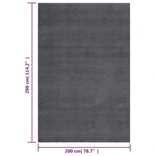 Gulvtæppe 200x290 cm blødt plys skridsikkert og vaskbart grå