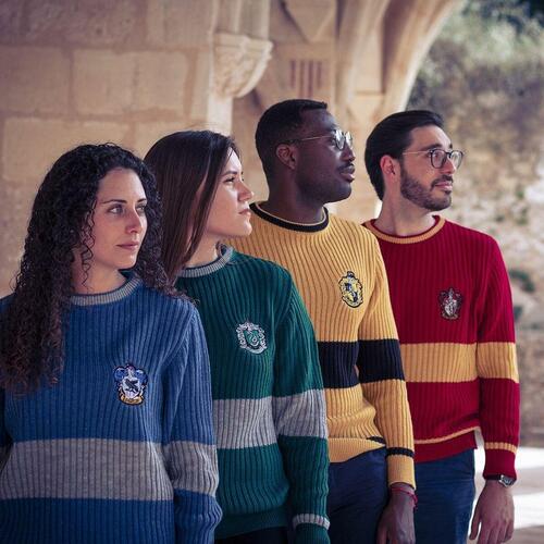 Unisex Trøje Harry Potter Blå S