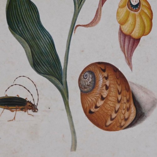 Maleri-sæt - Krystal & Gran, 4 dele (50 × 65/70 × 2,5 cm)