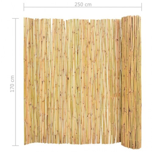 Bambushegn 250 x 170 cm