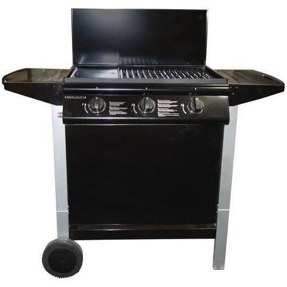 Gas Grill Grill Garden 10,5 KW (62 x 42 cm)