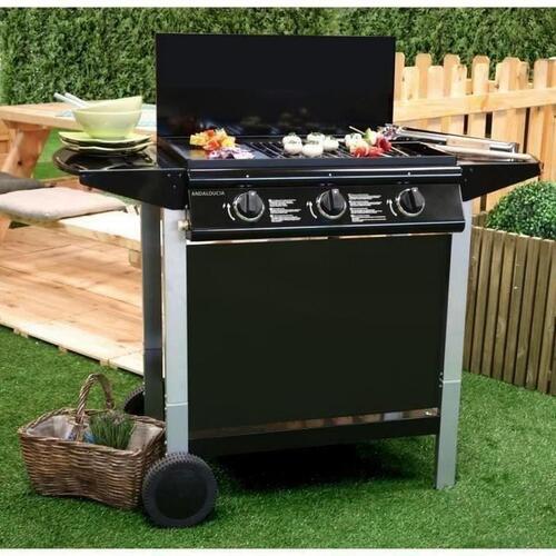 Gas Grill Grill Garden 10,5 KW (62 x 42 cm)