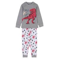 Nattøj Børns Jurassic Park Grå 6 år
