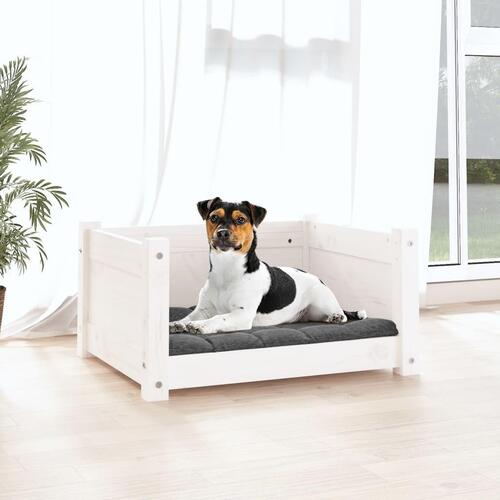 Hundeseng 55,5x45,5x28 cm massivt fyrretræ hvid