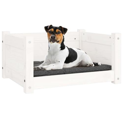 Hundeseng 55,5x45,5x28 cm massivt fyrretræ hvid
