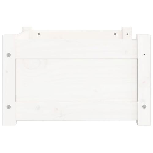 Hundeseng 55,5x45,5x28 cm massivt fyrretræ hvid