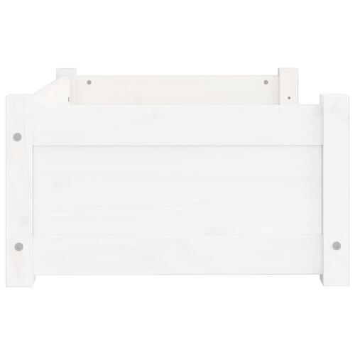Hundeseng 65,5x50,5x28 cm massivt fyrretræ hvid