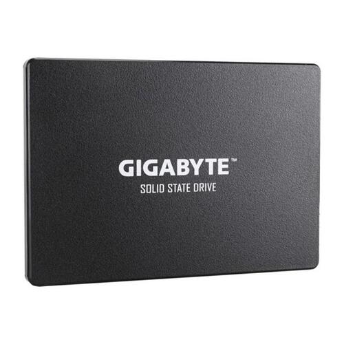 Harddisk Gigabyte GP-GSTFS31256GTND 256 GB SSD