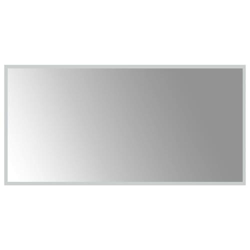 Badeværelsesspejl med LED-lys 50x100 cm