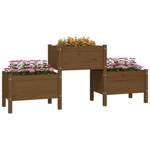 Plantekasse 178,5x44x75 cm massivt fyrretræ gyldenbrun