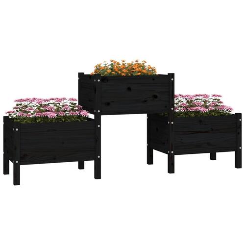 Plantekasse 178,5x44x75 cm massivt fyrretræ sort