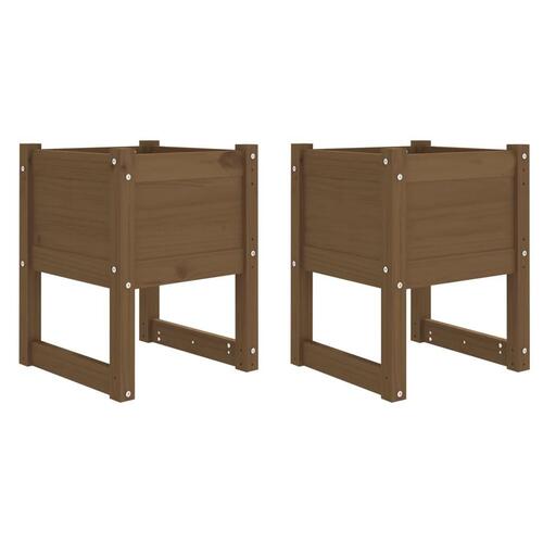 Plantekasser 2 stk. 40x40x52,5 cm massivt fyrretræ gyldenbrun