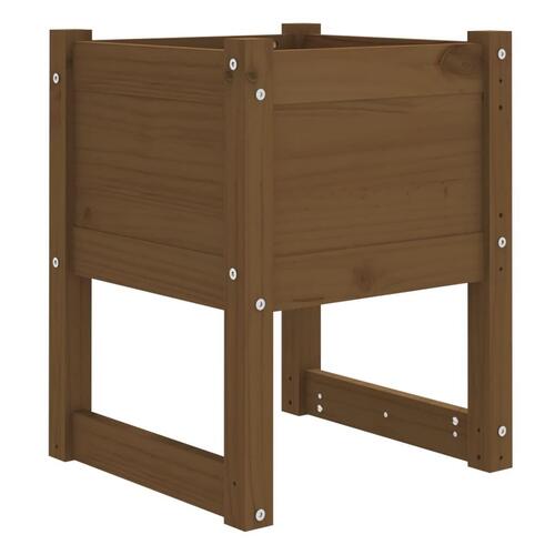 Plantekasser 2 stk. 40x40x52,5 cm massivt fyrretræ gyldenbrun