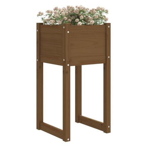 Plantekasser 2 stk. 40x40x81 cm massivt fyrretræ gyldenbrun