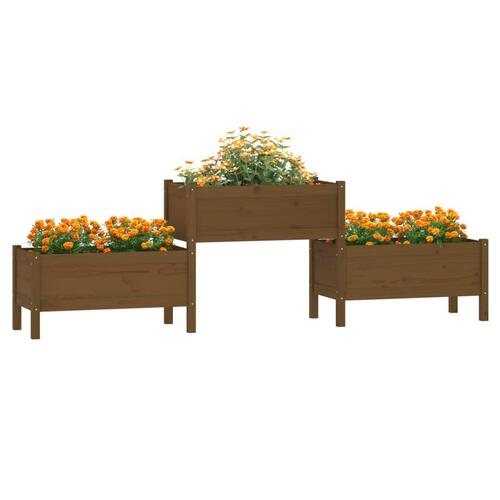Plantekasse 245,5x44x75 cm massivt fyrretræ gyldenbrun