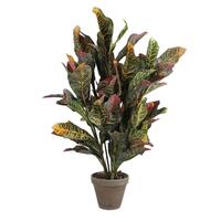 Dekorativ plante Mica Decorations Croton Grøn PVC (73 x 40 cm)