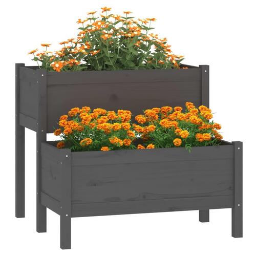 Plantekasse 84,5x84x75 cm massivt fyrretræ grå
