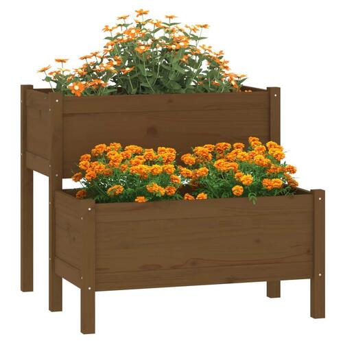 Plantekasse 84,5x84x75 cm massivt fyrretræ gyldenbrun