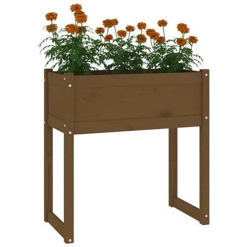 Plantekasse 78x40x81 cm massivt fyrretræ gyldenbrun