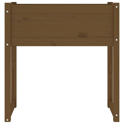 Plantekasse 78x40x81 cm massivt fyrretræ gyldenbrun