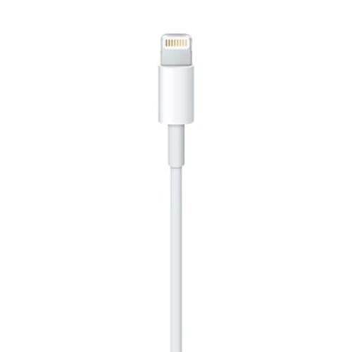 Lyskabel Apple ME291ZM/A 50 cm Hvid
