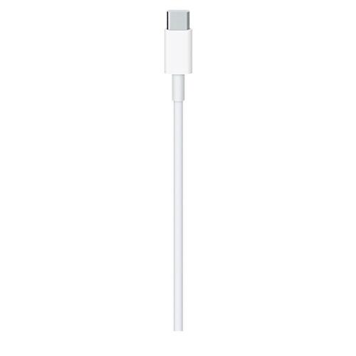 Kabel USB C Apple MLL82ZM/A 2 m Hvid