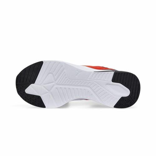 Træningssko Puma Disperse XT 2 Mesh Rød 42,5