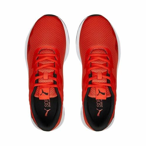 Træningssko Puma Disperse XT 2 Mesh Rød 44