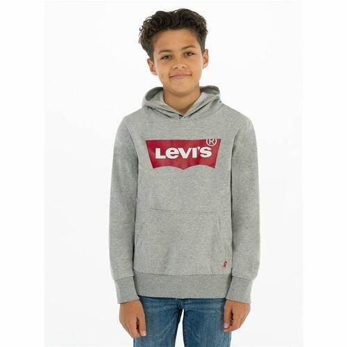 Sweaters uden Hætte til Mænd Levi's Batwing Screenprint Grå 16 år