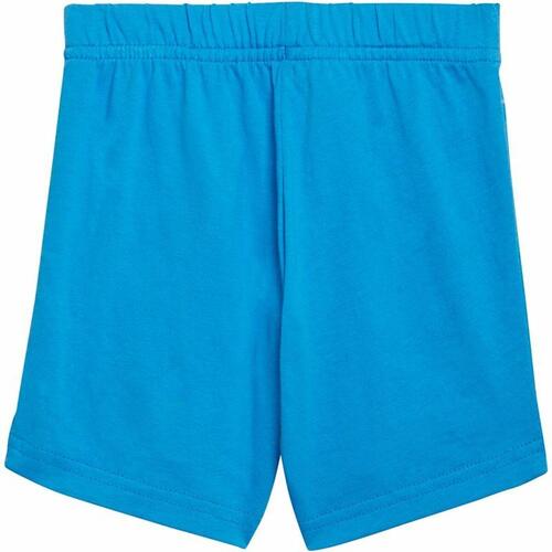 Sportstøj til Børn Adidas Essentials Blå Grå 1-2 år