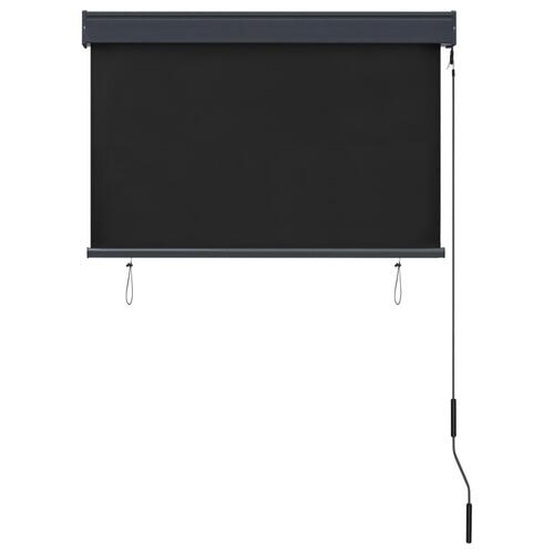 Udendørs rullegardin 100x250 cm antracitgrå