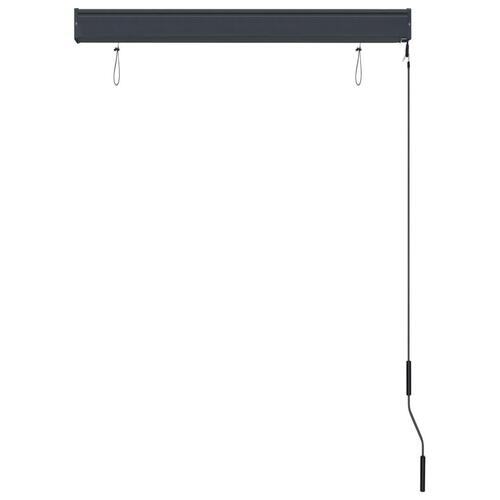 Udendørs rullegardin 100x250 cm antracitgrå