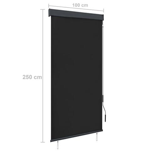 Udendørs rullegardin 100x250 cm antracitgrå
