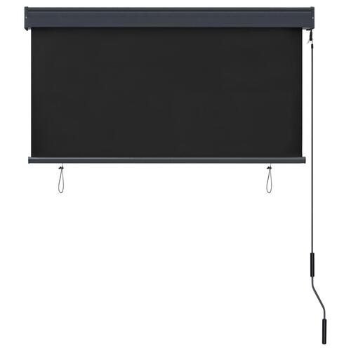 Udendørs rullegardin 120x250 cm antracitgrå
