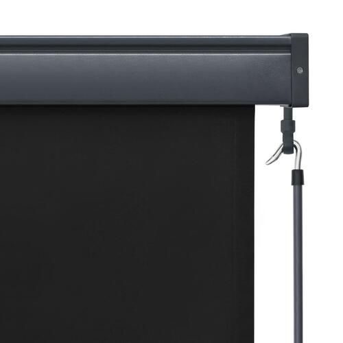 Udendørs rullegardin 120x250 cm antracitgrå