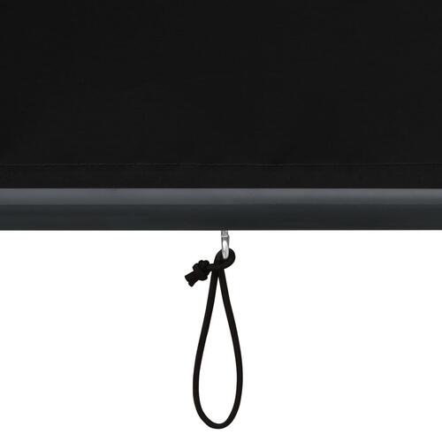 Udendørs rullegardin 120x250 cm antracitgrå